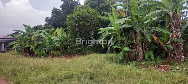 image TANAH STRATEGIS  (4)