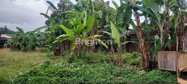 image TANAH STRATEGIS  (7)