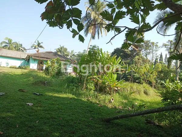 image TANAH LUAS STRATEGIS PINGGIR JALAN RAYA (5)