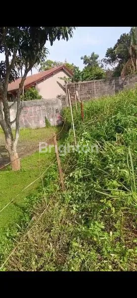 image DIJUAL CEPAT TANAH DI UNGARAN VIEW GUNUNG (5)