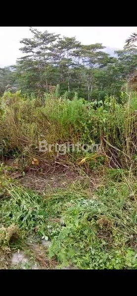 image DIJUAL CEPAT TANAH DI UNGARAN VIEW GUNUNG (4)