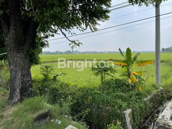 image TANAH PEKARANGAN KEBAKKRAMAT (4)