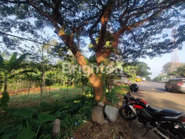 image DI JUAL TANAH JLN PANTURA BANYUPUTIH (1)
