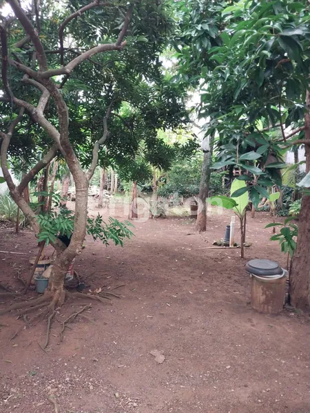 image RUMAH MEWAH 2 LANTAI DI JALAN PUTER RAYA BINTARO JAYA SEKTOR 5 (8)