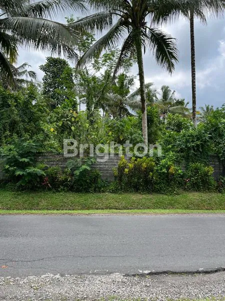 image TANAH STRATEGIS PINGGIR JALAN UTAMA (1)