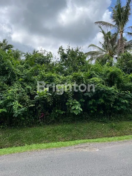 image TANAH STRATEGIS PINGGIR JALAN UTAMA (3)