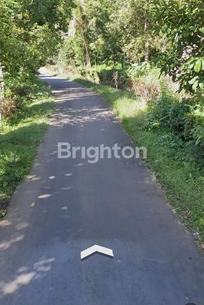 image INVESTASI TANAH 1000M² DI SINGARAJA BALI (1)