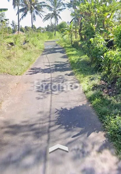 image INVESTASI TANAH 1000M² DI SINGARAJA BALI (2)