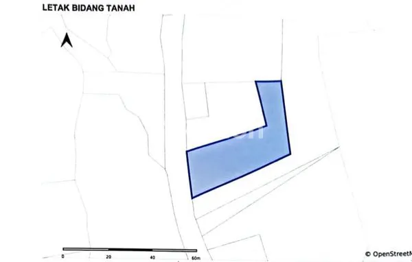 image INVESTASI TANAH 1000M² DI SINGARAJA BALI (5)