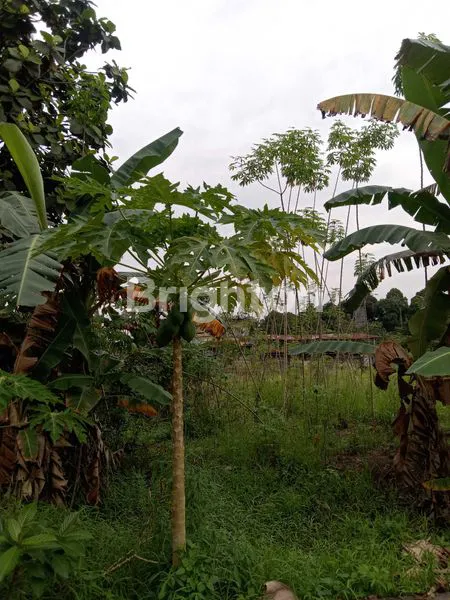 image TANAH KAVLINGAN SIAP BANGUN (1)