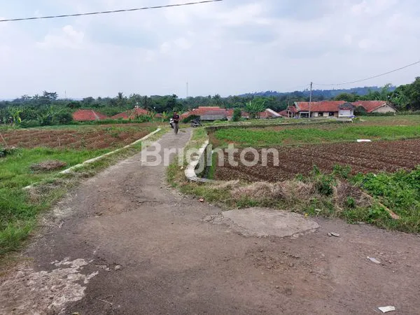 image RUMAH 2 UNIT & 4 KOLAM, TANAH LUAS 1225M² (5)