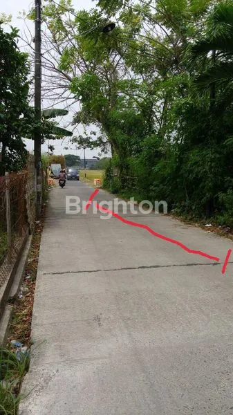 image TANAH LUAS 6.926M² SHM MOJOKERTO SIAP BANGUN (4)