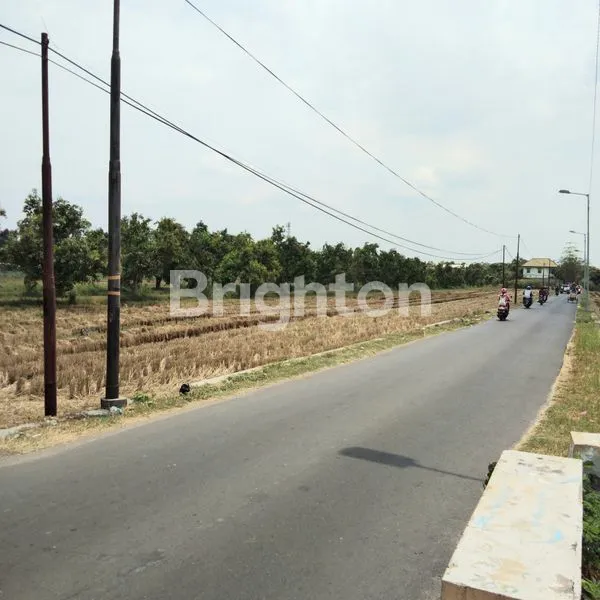 image TANAH LUAS 6.926M² SHM MOJOKERTO SIAP BANGUN (3)