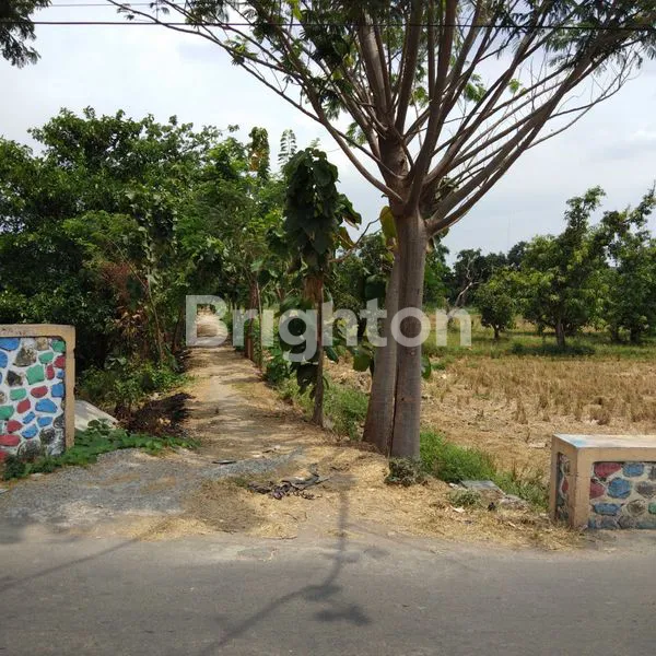 image TANAH LUAS 6.926M² SHM MOJOKERTO SIAP BANGUN (2)