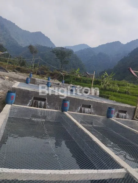 LAHAN DI PAMIJAHAN BOGOR JAWA BARAT