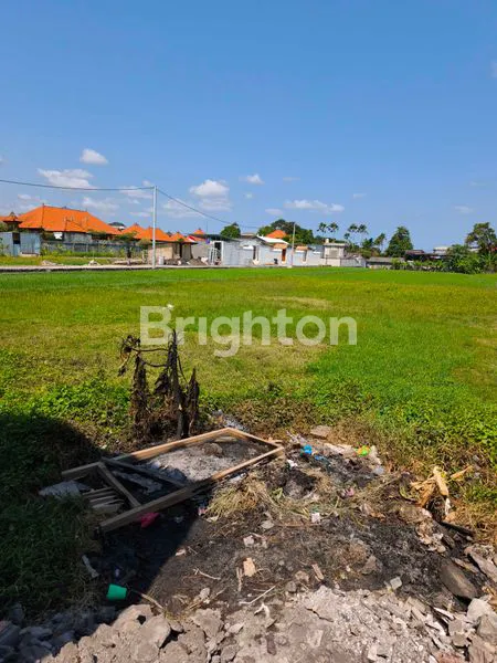 image TANAH SEWA VIEW SAWAH DI KEDAMPANG SIAP BANGUN VILLA (7)