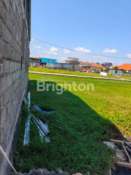 image TANAH SEWA VIEW SAWAH DI KEDAMPANG SIAP BANGUN VILLA (3)