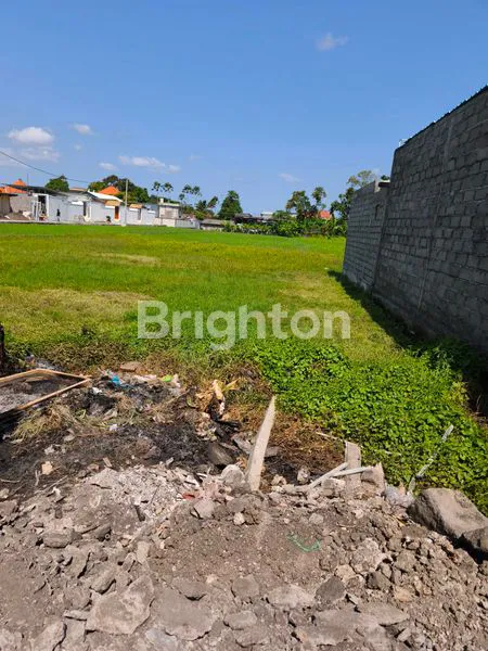 image TANAH SEWA VIEW SAWAH DI KEDAMPANG SIAP BANGUN VILLA (4)