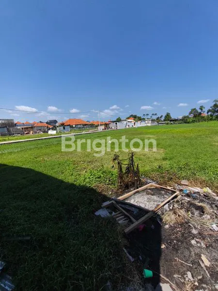 TANAH SEWA VIEW SAWAH DI KEDAMPANG SIAP BANGUN VILLA