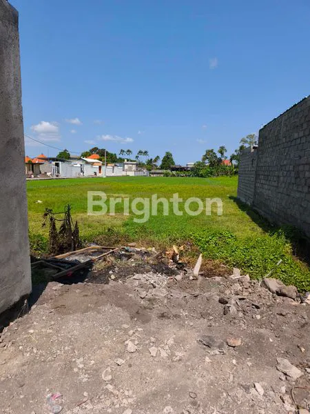 image TANAH SEWA VIEW SAWAH DI KEDAMPANG SIAP BANGUN VILLA (2)