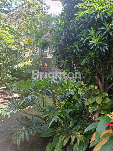 image RUMAH 2 LANTAI DI LOKASI YANG TENANG DI DEKAT PERKANTORAN CBD SIMATUPANG (3)