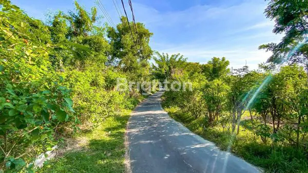 image OCEAN VIEW LAND WITH PINK ZONE IN HIGH DEMAND TOURIST AREA (6)