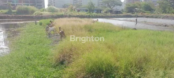 image TANAH INVESTASI MENGUNTUNGKAN (2)