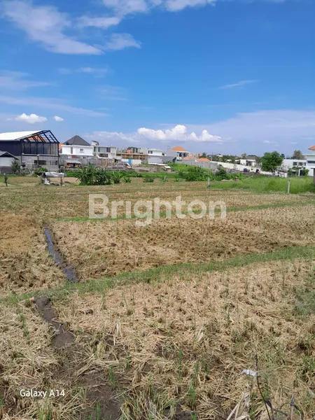 image DI KONTRAKKKAN TANAH PERERENAN CANGGU (1)