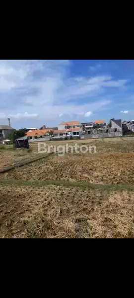 image DI KONTRAKKKAN TANAH PERERENAN CANGGU (3)