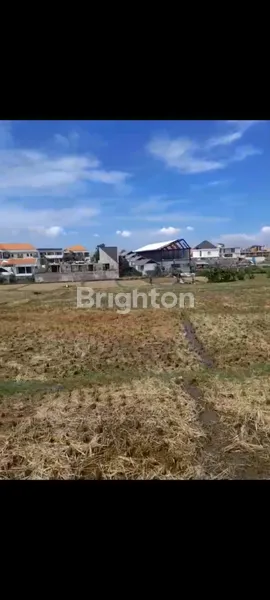 image DI KONTRAKKKAN TANAH PERERENAN CANGGU (4)