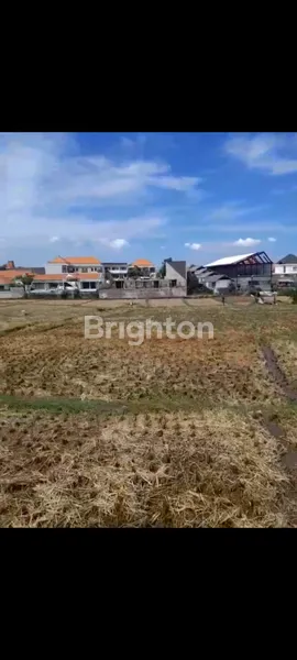 image DI KONTRAKKKAN TANAH PERERENAN CANGGU (5)