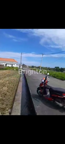 image DI KONTRAKKKAN TANAH PERERENAN CANGGU (6)