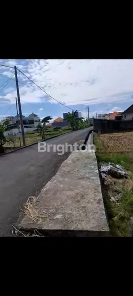 image DI KONTRAKKKAN TANAH PERERENAN CANGGU (7)