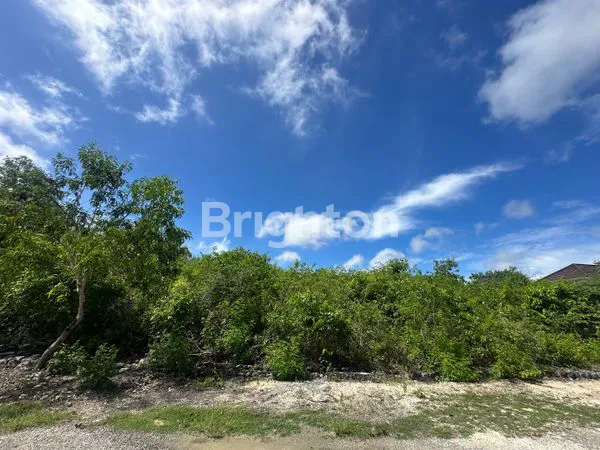 image TANAH COCOK UNTUK VILLA DAN INVESTASI DI JIMBARAN (1)