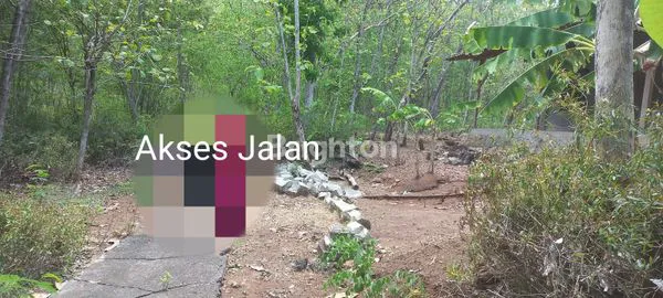 image TANAH LOKASI STRATEGIS DI KEDUNG BANTENG SELOGIRI, WONOGIRI!*\\N (2)