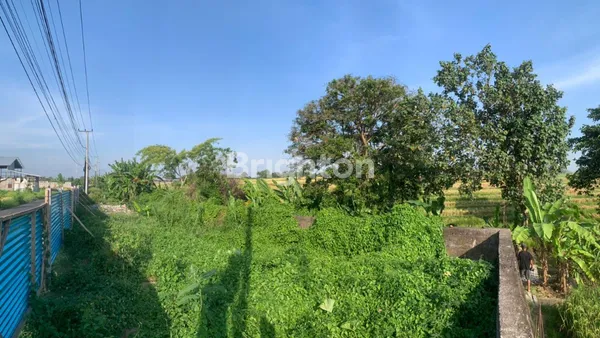 image DISEWAKAN TANAH DI JL. PANTAI KEDUNGU, NYITDAH (4)
