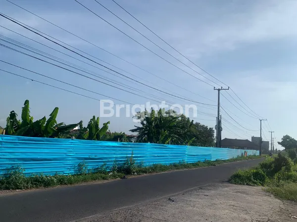 image DISEWAKAN TANAH DI JL. PANTAI KEDUNGU, NYITDAH (5)