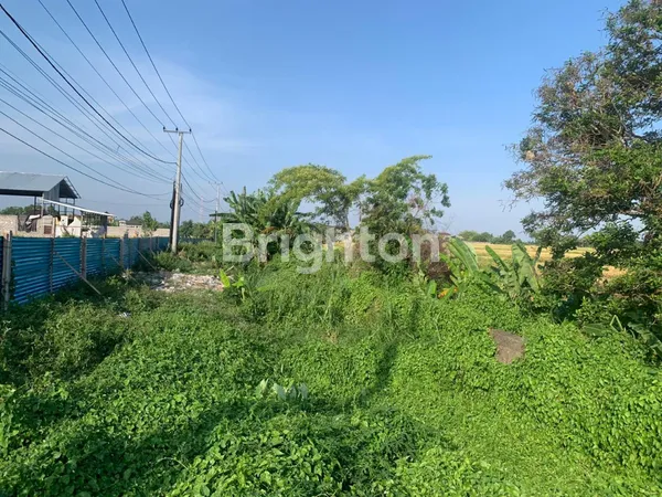 image DISEWAKAN TANAH DI JL. PANTAI KEDUNGU, NYITDAH (3)