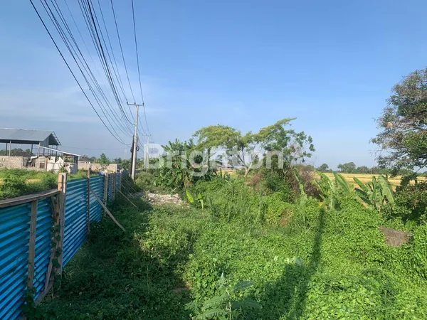 image DISEWAKAN TANAH DI JL. PANTAI KEDUNGU, NYITDAH (1)
