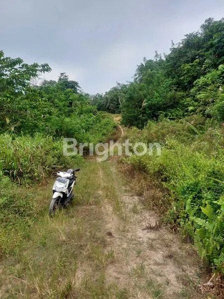 image TANAH LUAS 2 HEKTAR DI SAMARINDA UTARA (1)