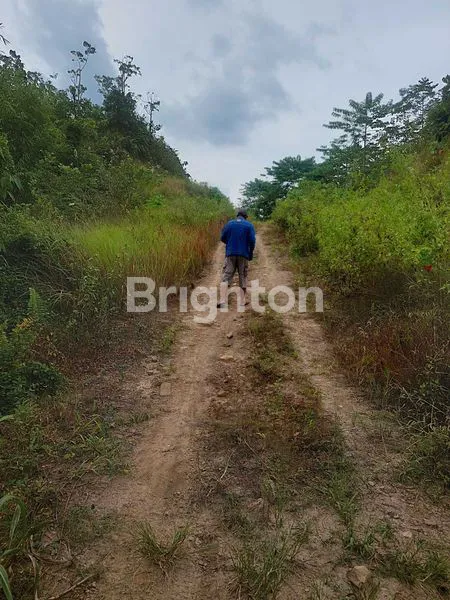 image TANAH LUAS 2 HEKTAR DI SAMARINDA UTARA (2)