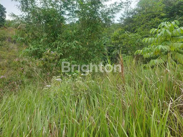 image TANAH LUAS 2 HEKTAR DI SAMARINDA UTARA (4)