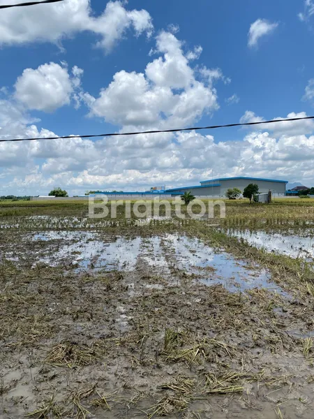 image LAHAN REJOSO GONDANG NGANJUK, (MLORA) COCOK UNTUK INDUSTRI, AKSES KONTAINER (1)