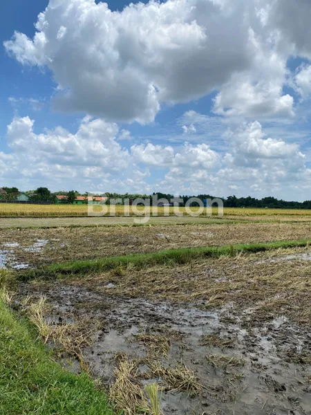 image LAHAN REJOSO GONDANG NGANJUK, (MLORA) COCOK UNTUK INDUSTRI, AKSES KONTAINER (3)