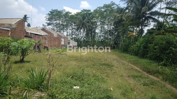 TANAH STRATEGIS COCOK BUAT KAVLING PERUMAHAN DI TLOGOWARU