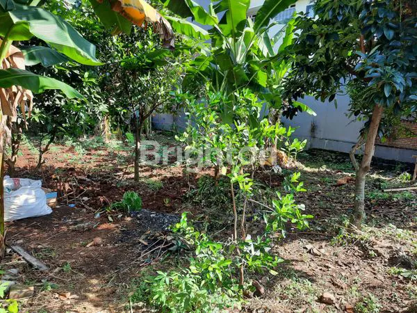 image TANAH MURAH LT 288M² DI BEJI DEPOK NEGO (BU) (5)
