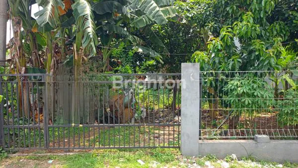 image TANAH MURAH LT 288M² DI BEJI DEPOK NEGO (BU) (4)