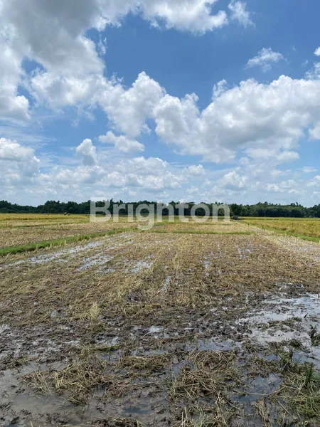 image DIJUAL LAHAN REJOSO GONDANG NGANJUK, (MLORA) COCOK UNTUK INDUSTRI, AKSES KONTAINER (2)