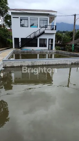 image DIJUAL VILLA ASRI DI GUNUNG BUNDER DUA, PAMIJAHAN – BOGOR | VIEW PEGUNUNGAN & UDARA SEJUK (5)