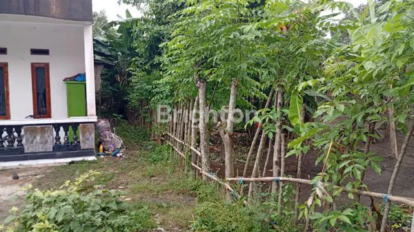 image JUAL TANAH (2)